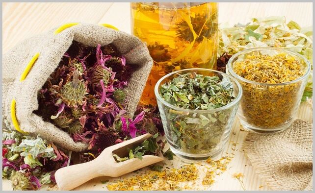 Plante medicinale pentru tratarea venelor varicoase